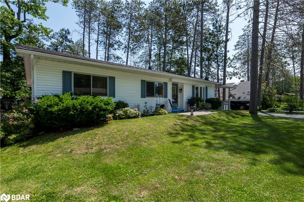 3 Carruthers Street N Property Photo 21