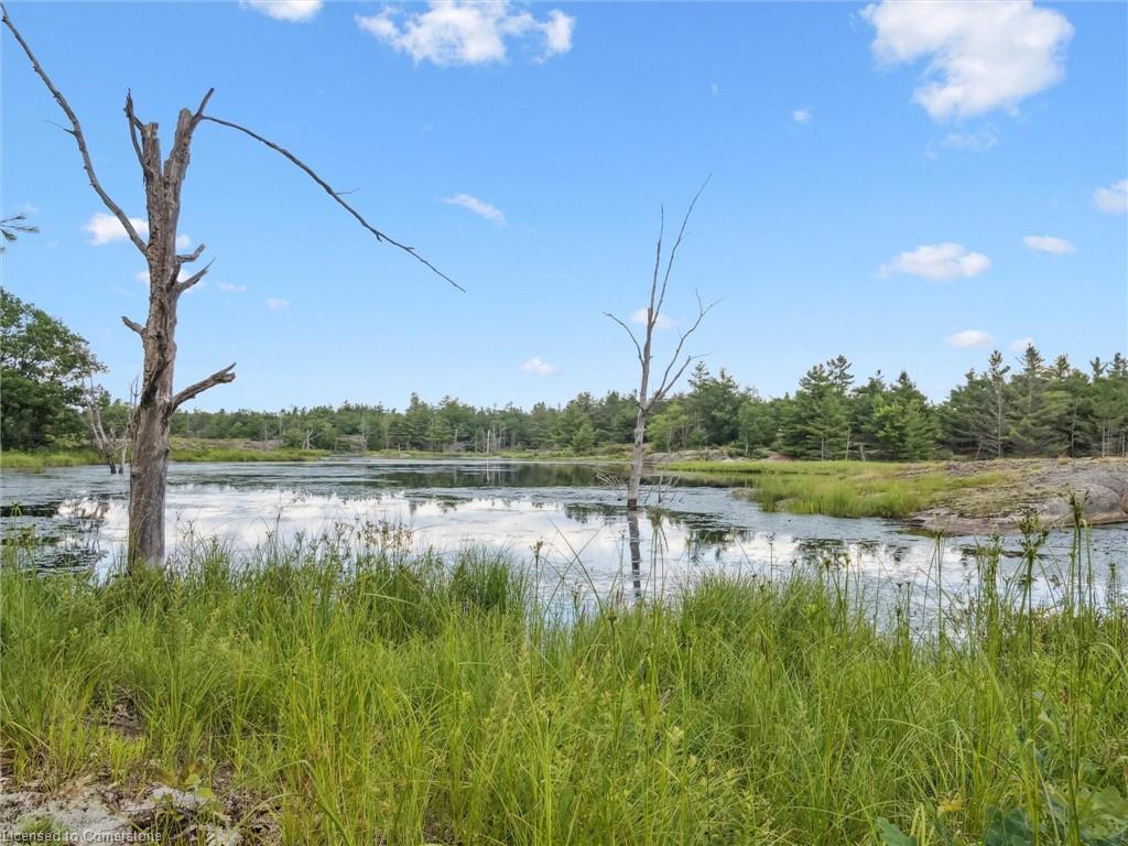 891 Peninsula Road Property Photo 33