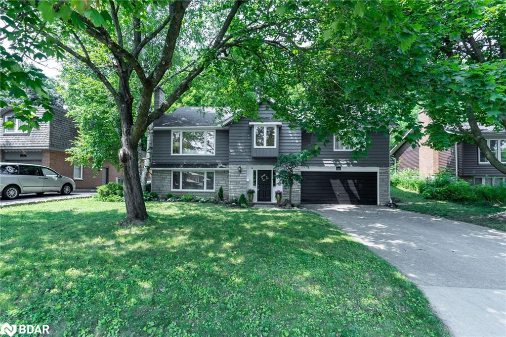 230 Kribs Street Property Photo 1