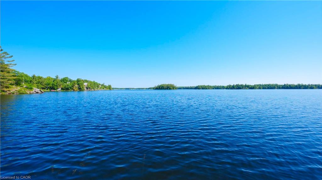 990 Haskett's Drive Property Photo 14