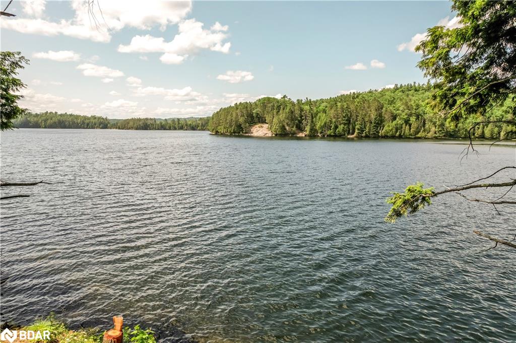 592 Moccasin Lake Road Property Photo 18