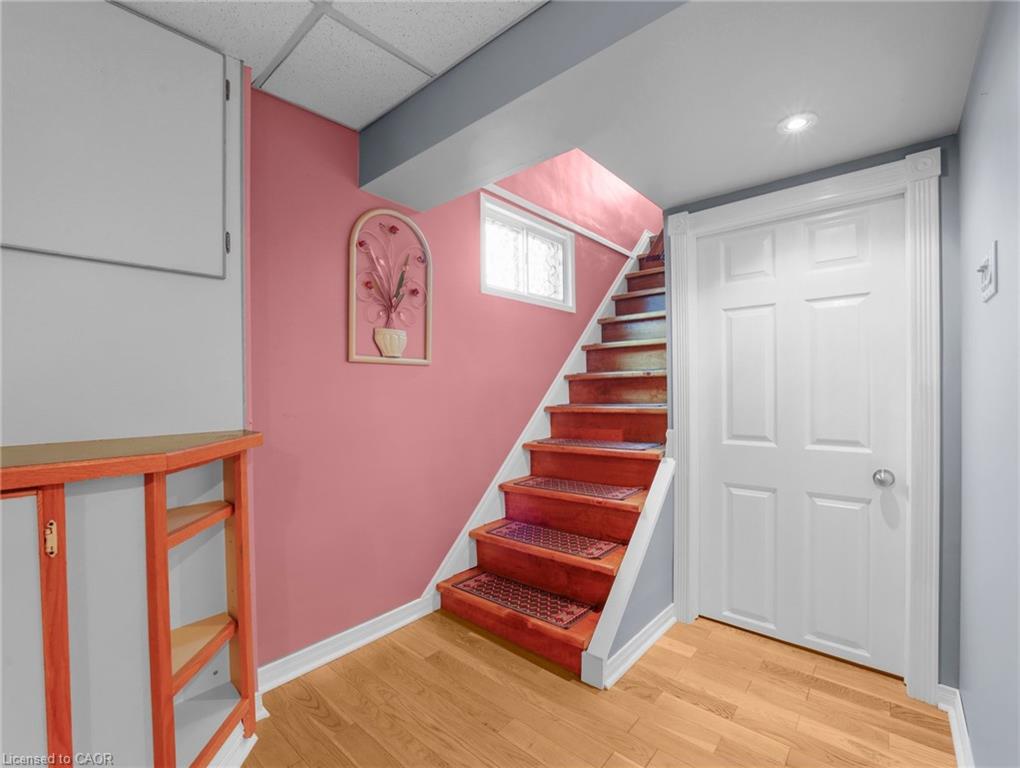 43 Rowanwood Avenue Property Photo 24