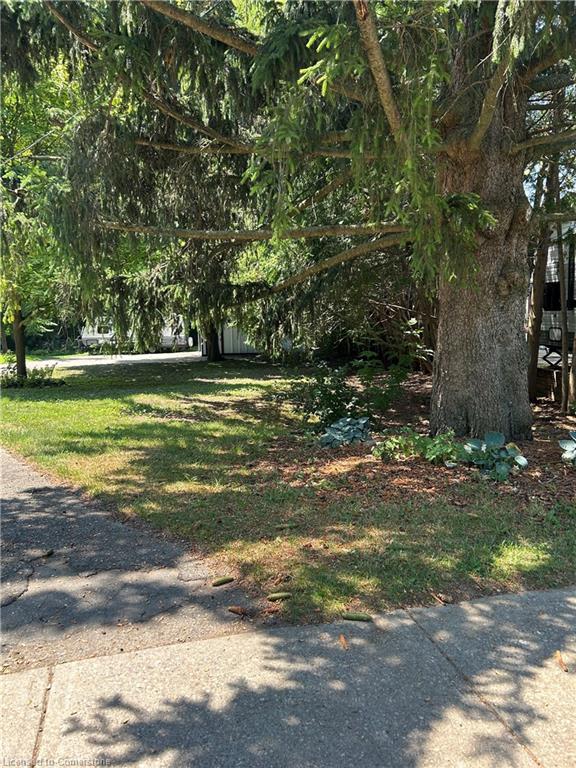 33 Islington Avenue Property Photo 1