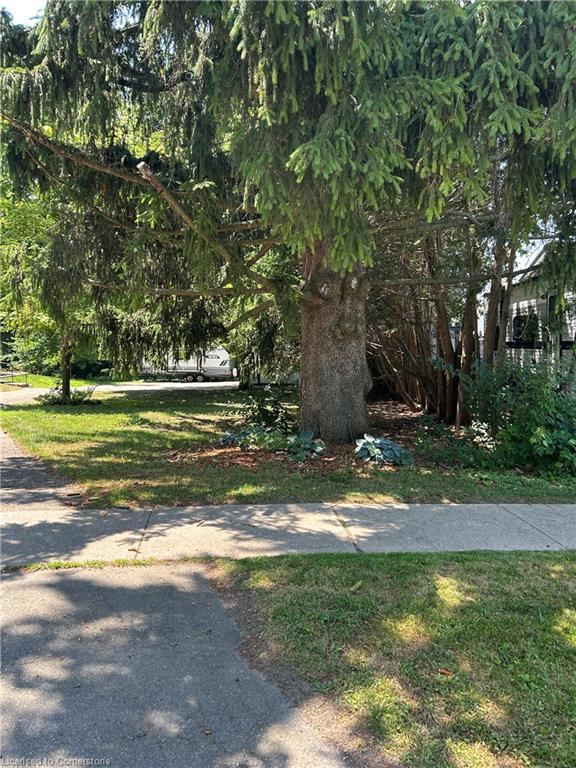 33 Islington Avenue Property Photo 3