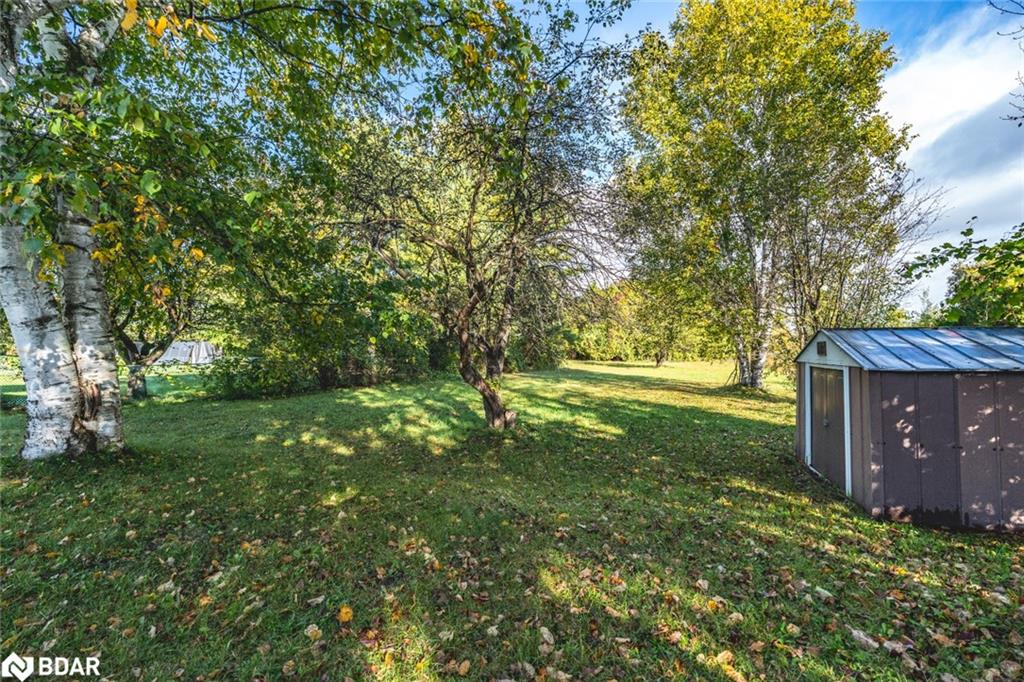 215 Phillips Street Property Photo 14