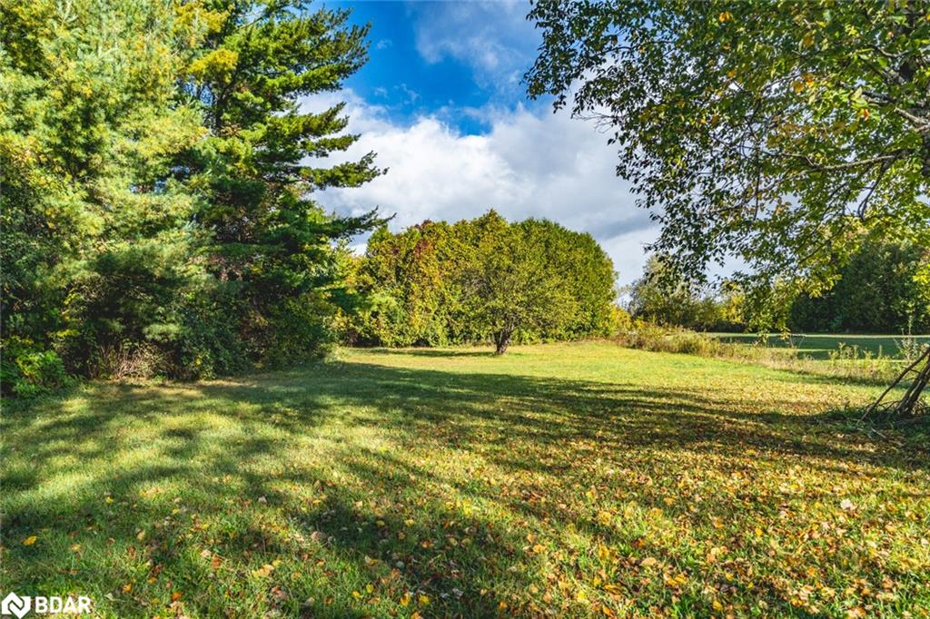 215 Phillips Street Property Photo 15