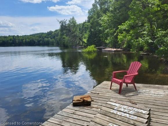 5803 Haliburton Lake Road Property Photo 1