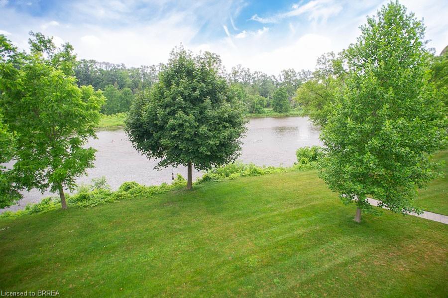 6-158 Willow Street Property Photo 34