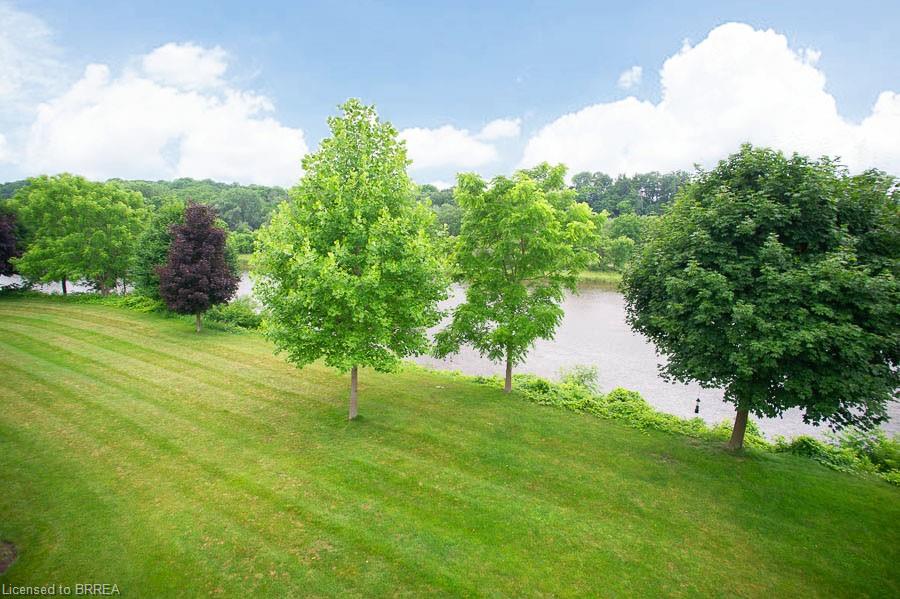 6-158 Willow Street Property Photo 35