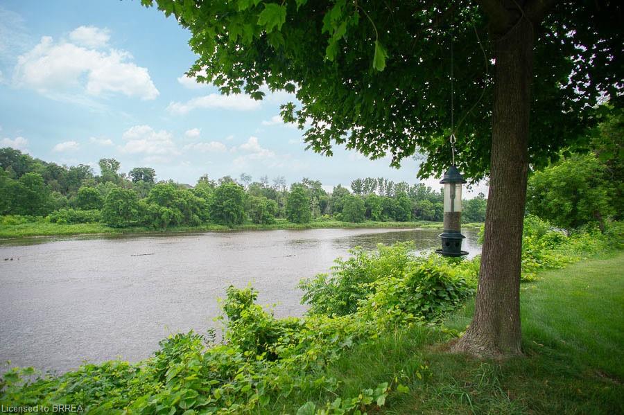 6-158 Willow Street Property Photo 50