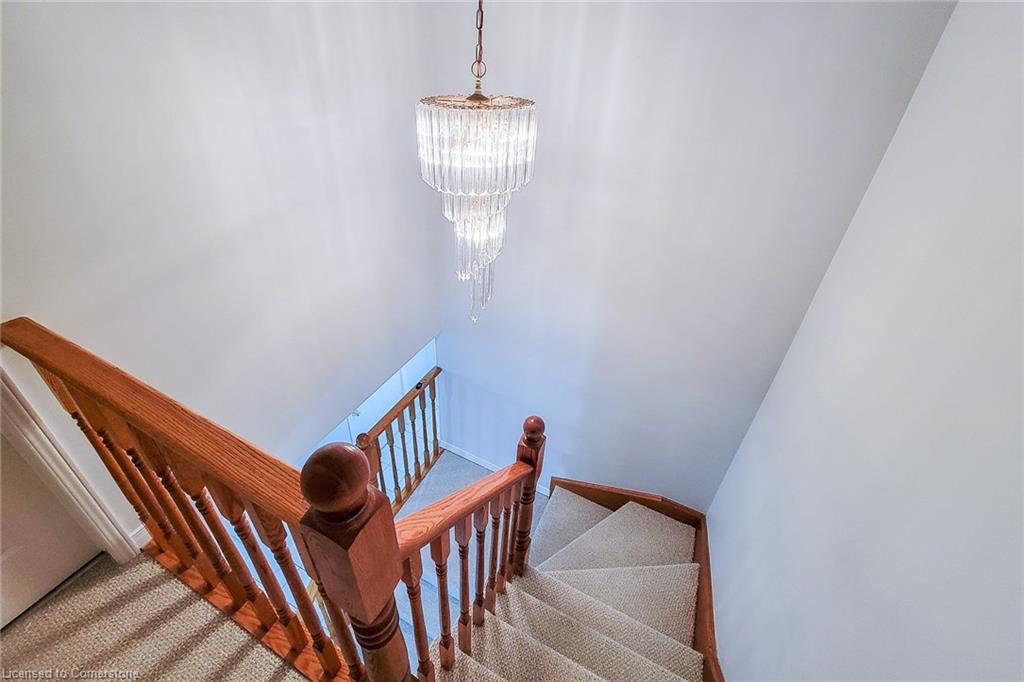 251 Alderlea Avenue Property Photo 29