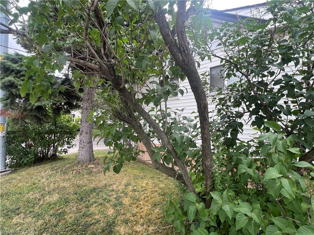 100 Eastchester Avenue Property Photo 3