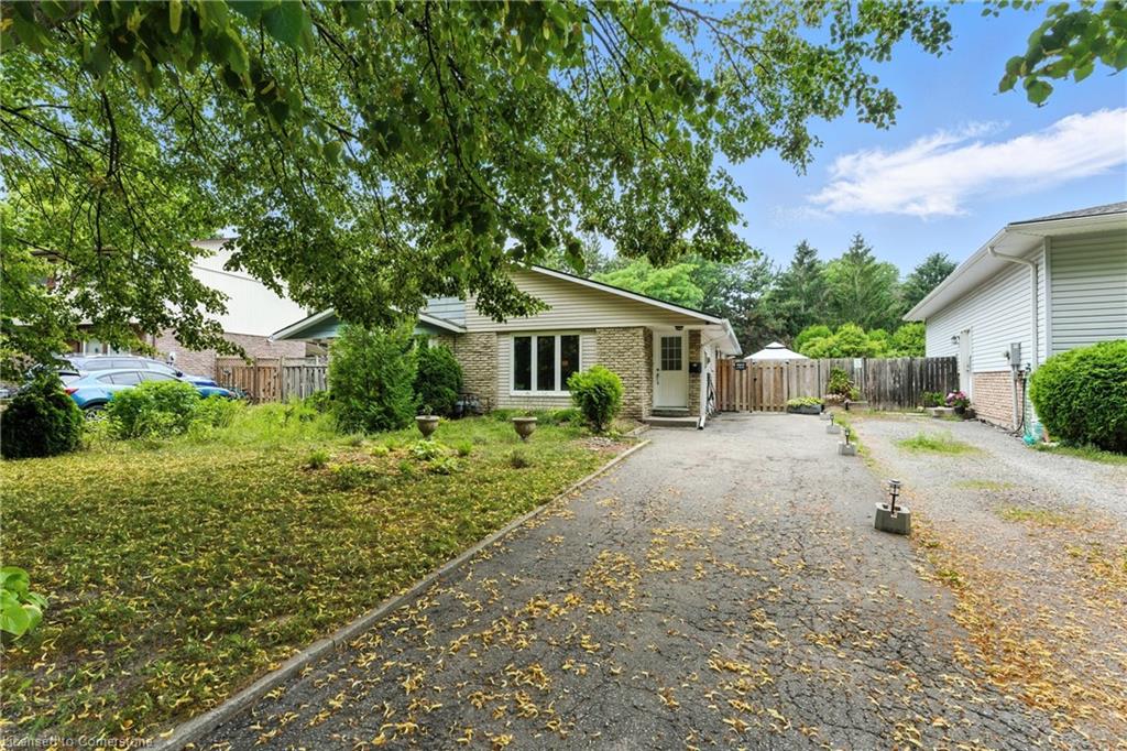 43 Elma Street Property Photo 1