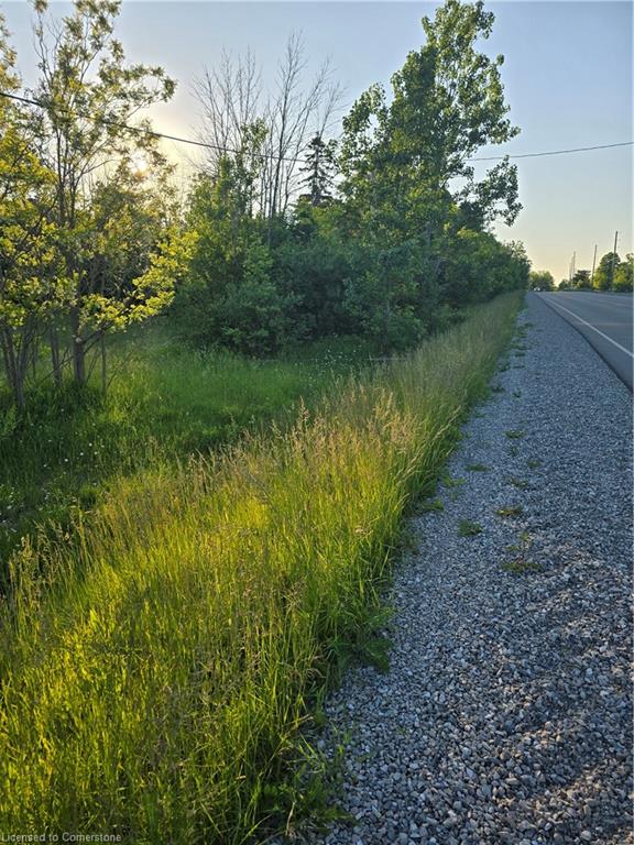 1533 54 Highway Property Photo 6