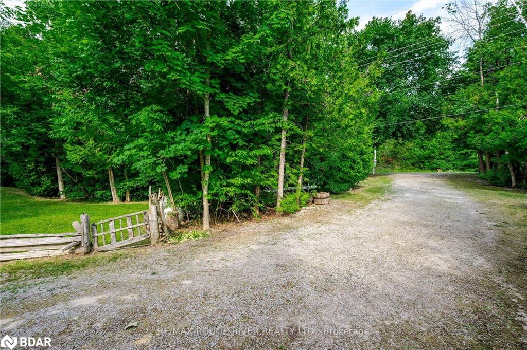 1280 Birchview Road Property Photo 16