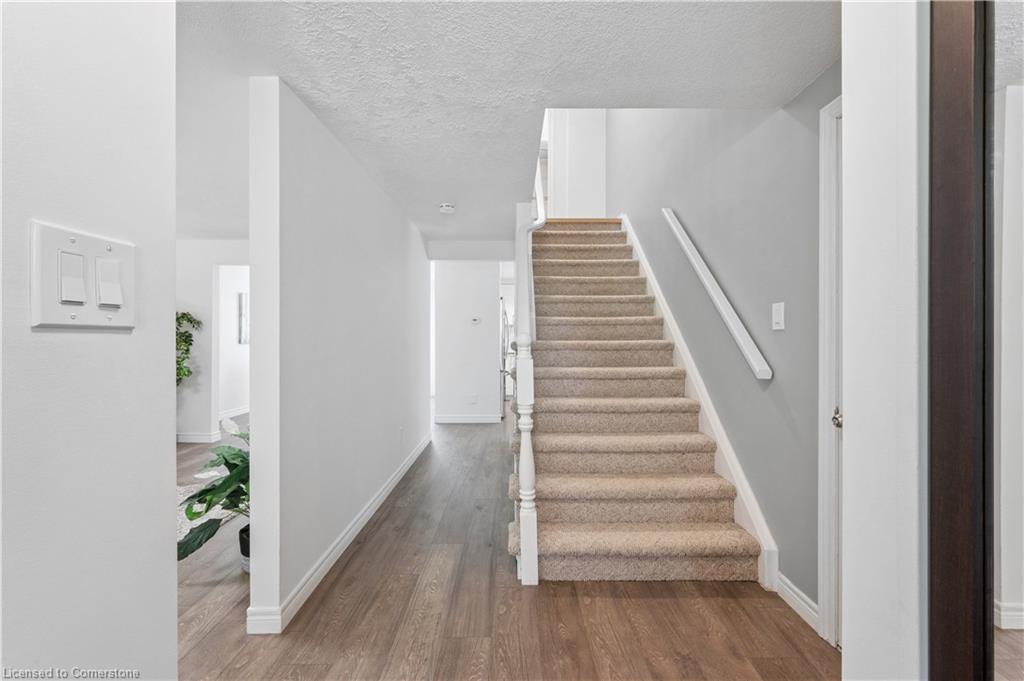 55 Monte Carlo Street Property Photo 5