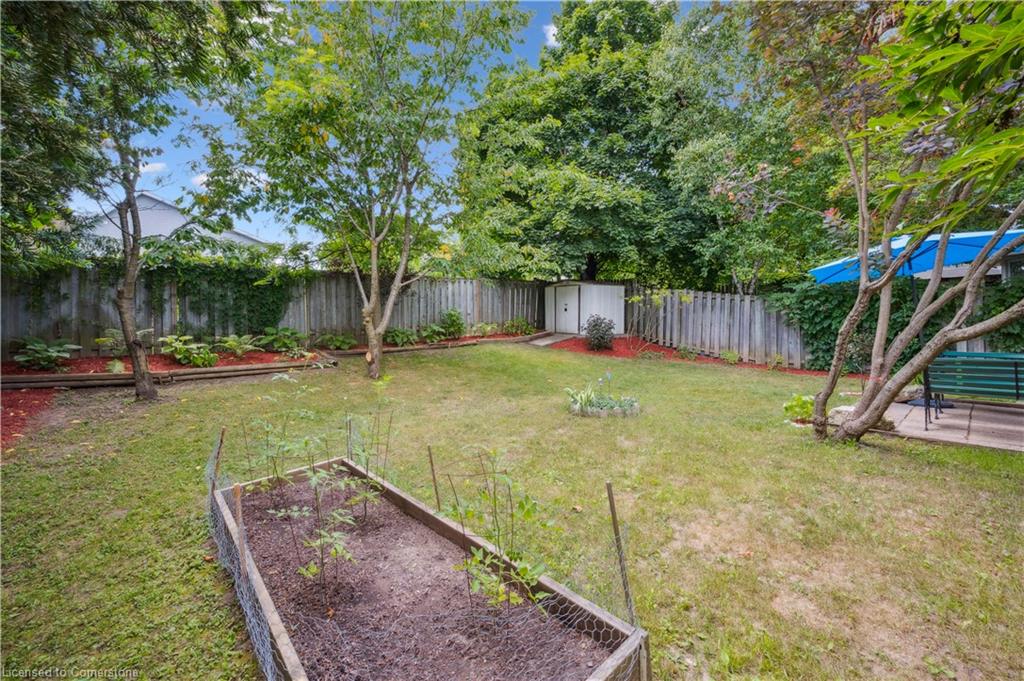 55 Monte Carlo Street Property Photo 32