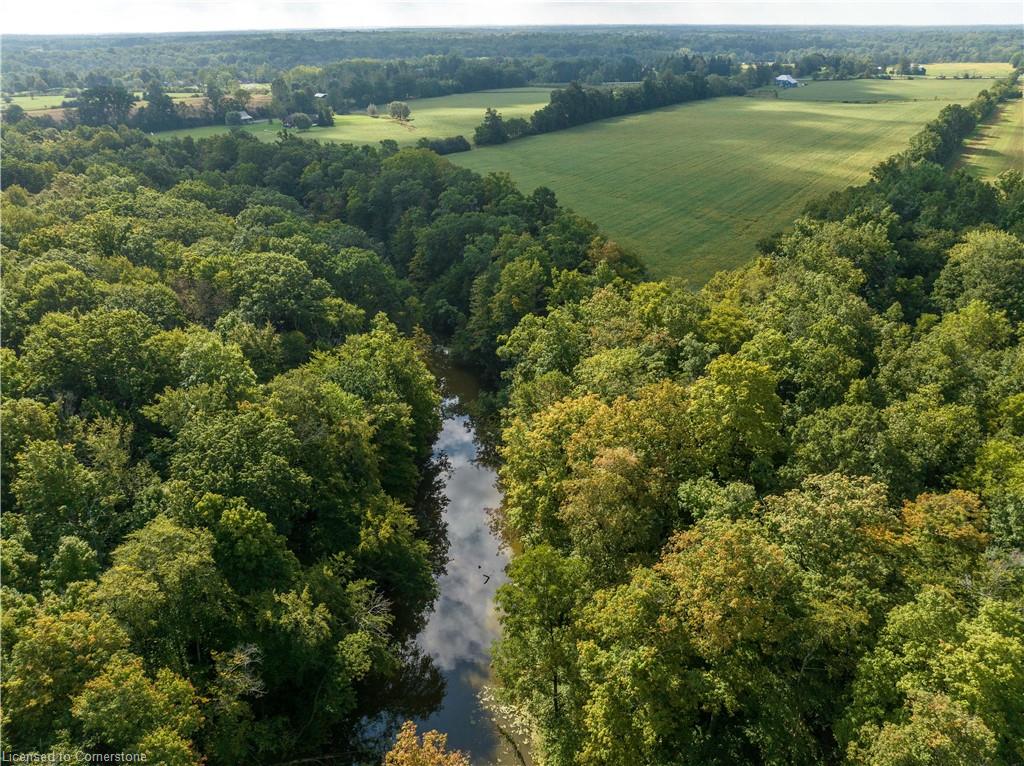 1358 #54 Highway Property Photo 12