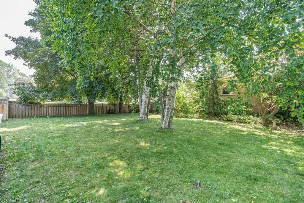 44 Cedarland Drive Property Photo 43