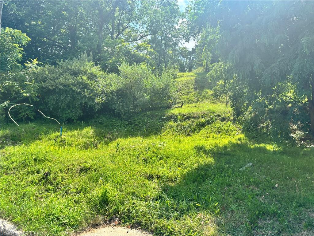 89 Dumfries Street Property Photo 2
