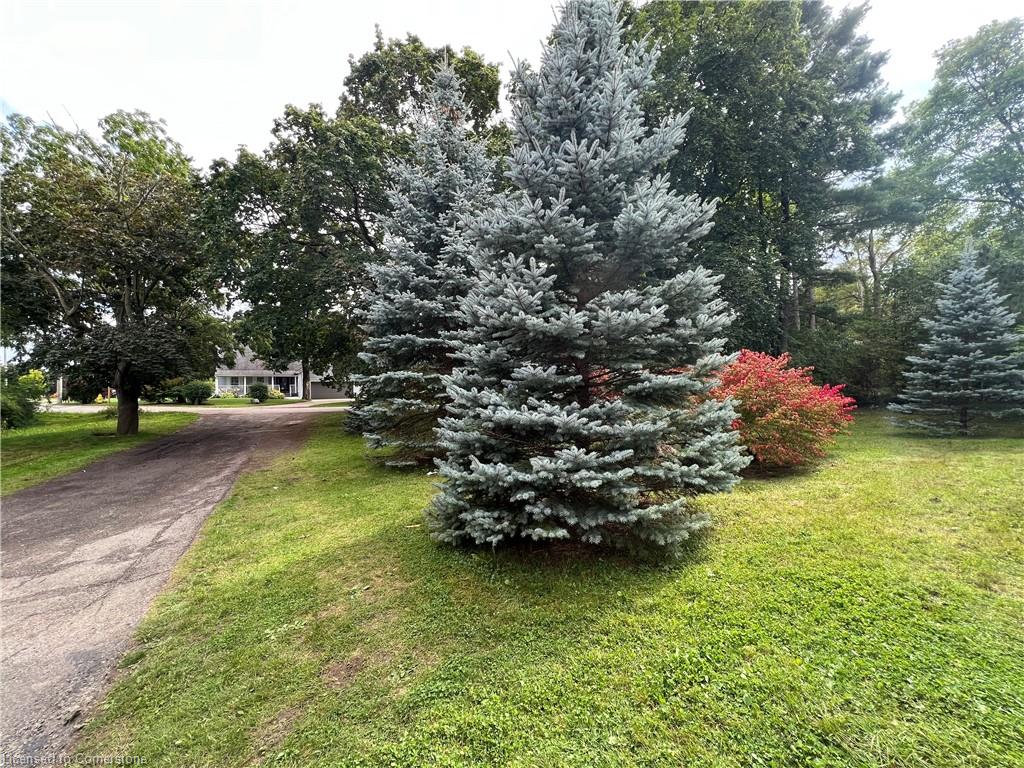 447-459 Blue Heron Ridge Property Photo 14