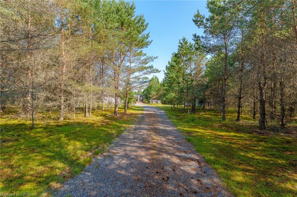 889 Sandhill Road Property Photo 36