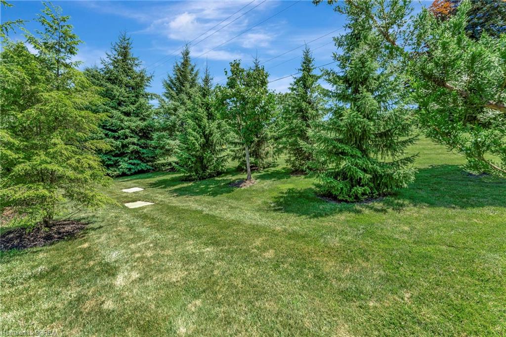 23-158 Willow Street Property Photo 49