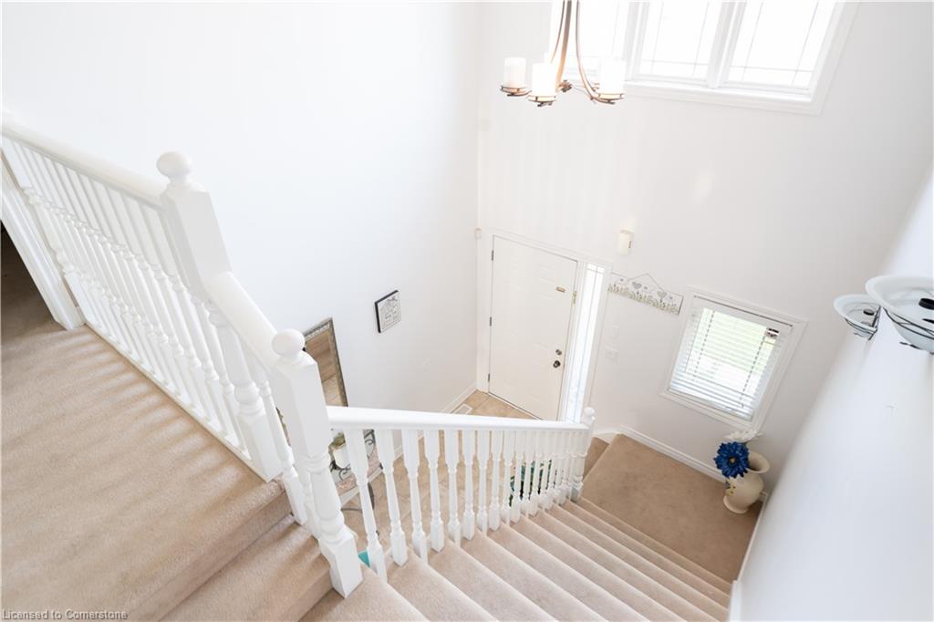 6857 Ailanthus Avenue Property Photo 18