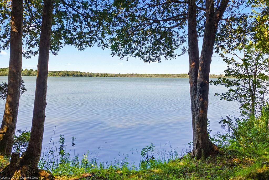 382185 17 Concession Property Photo 1