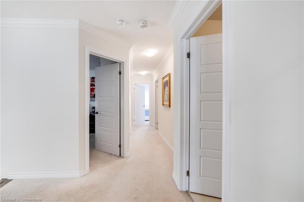 22 Scarletwood Street Street Property Photo 31