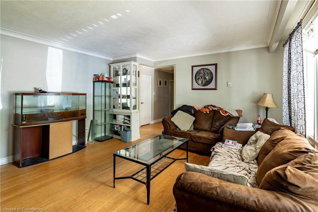 104 Boniface Avenue Property Photo 25