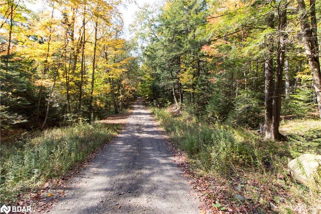 0 Lynx Lake Road Property Photo 4