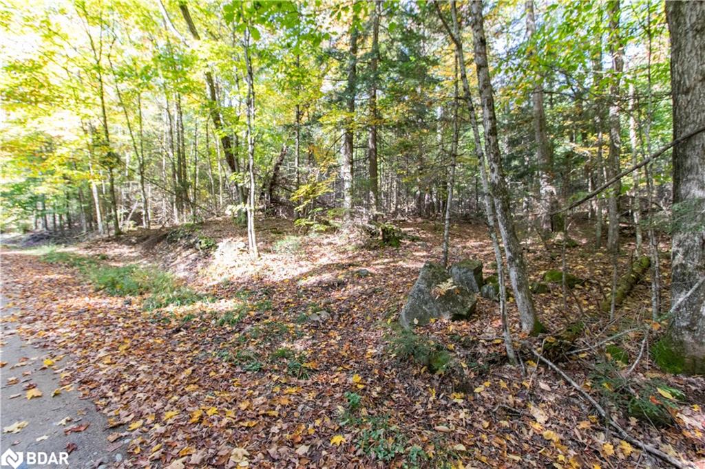0 Lynx Lake Road Property Photo 6