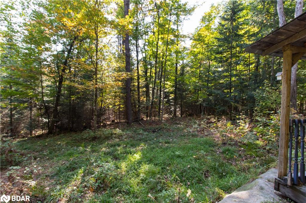 0 Lynx Lake Road Property Photo 9