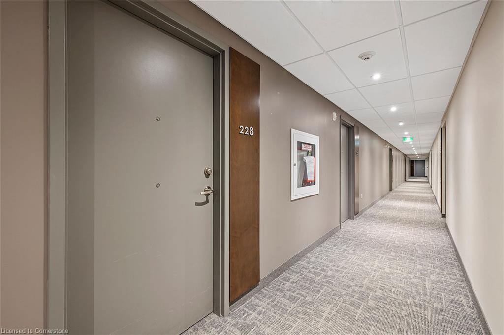 228-1 Redfern Avenue Property Photo 19