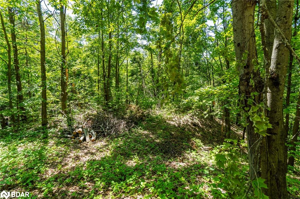 25 Cathedral Pines Road Property Photo 42