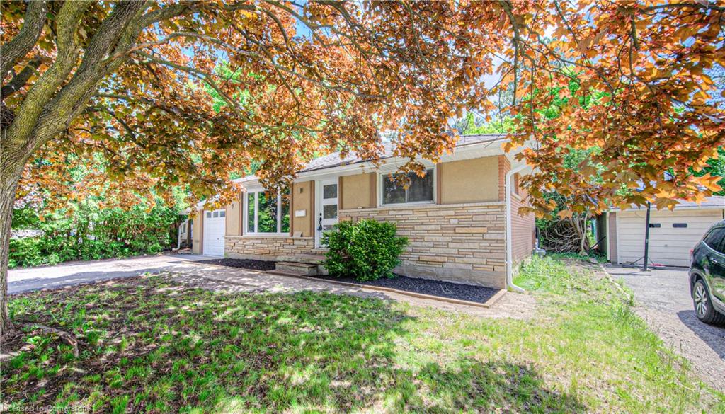 5 Alison Avenue Property Photo