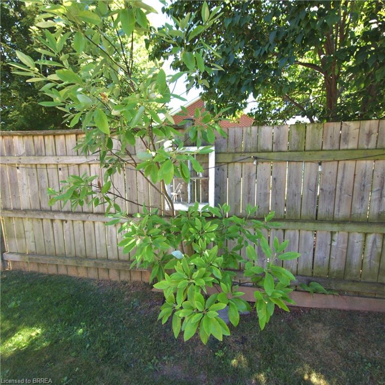 717 Main Street Property Photo 16