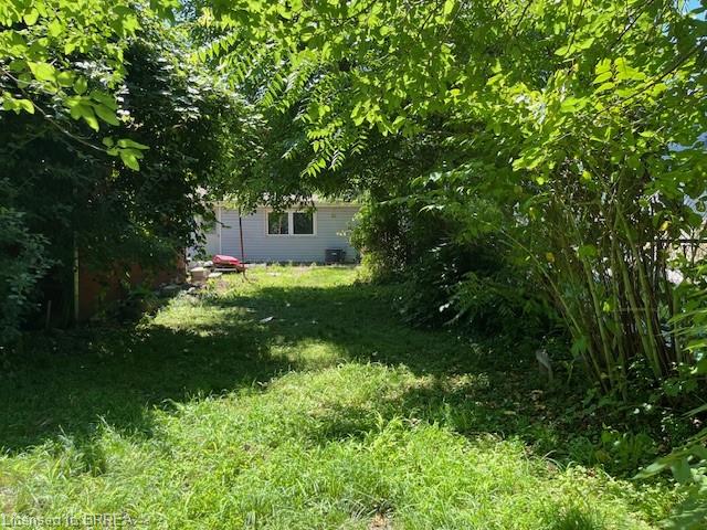 232 Grey Street Property Photo 6