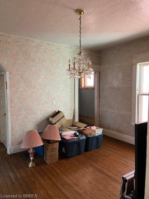 232 Grey Street Property Photo 15