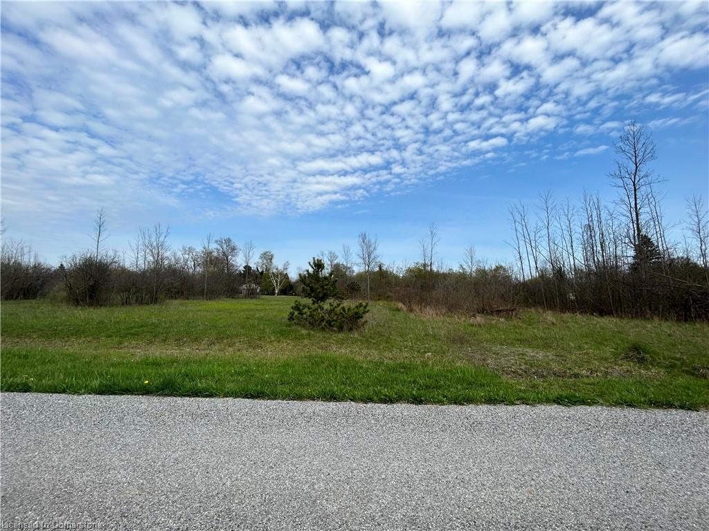 00 Richmond Avenue Property Photo 2