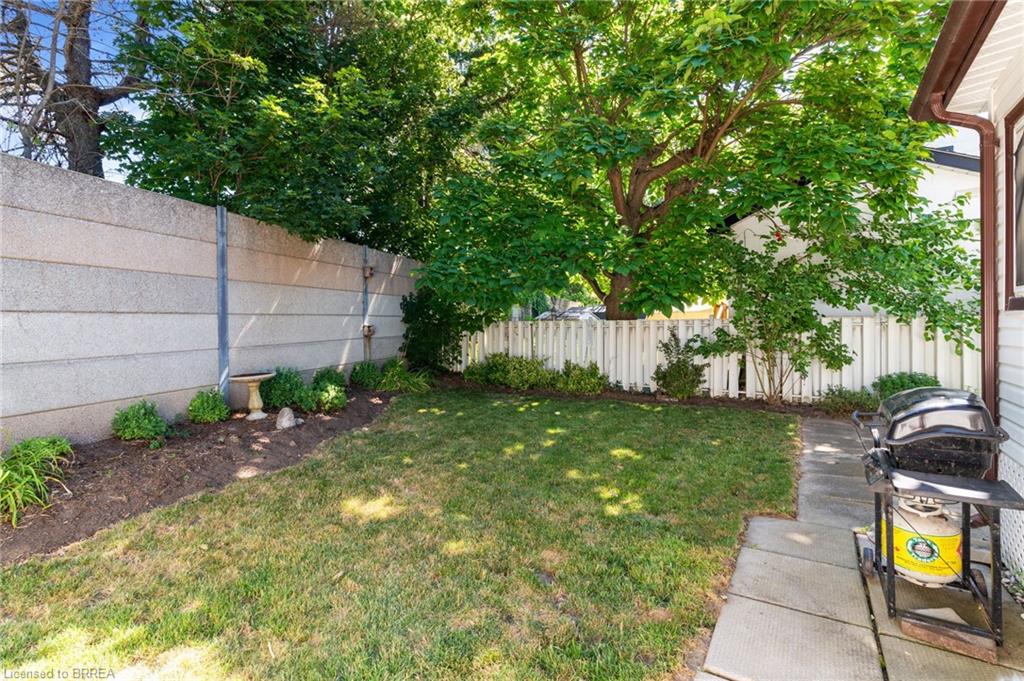 8 Todd Street Property Photo 43