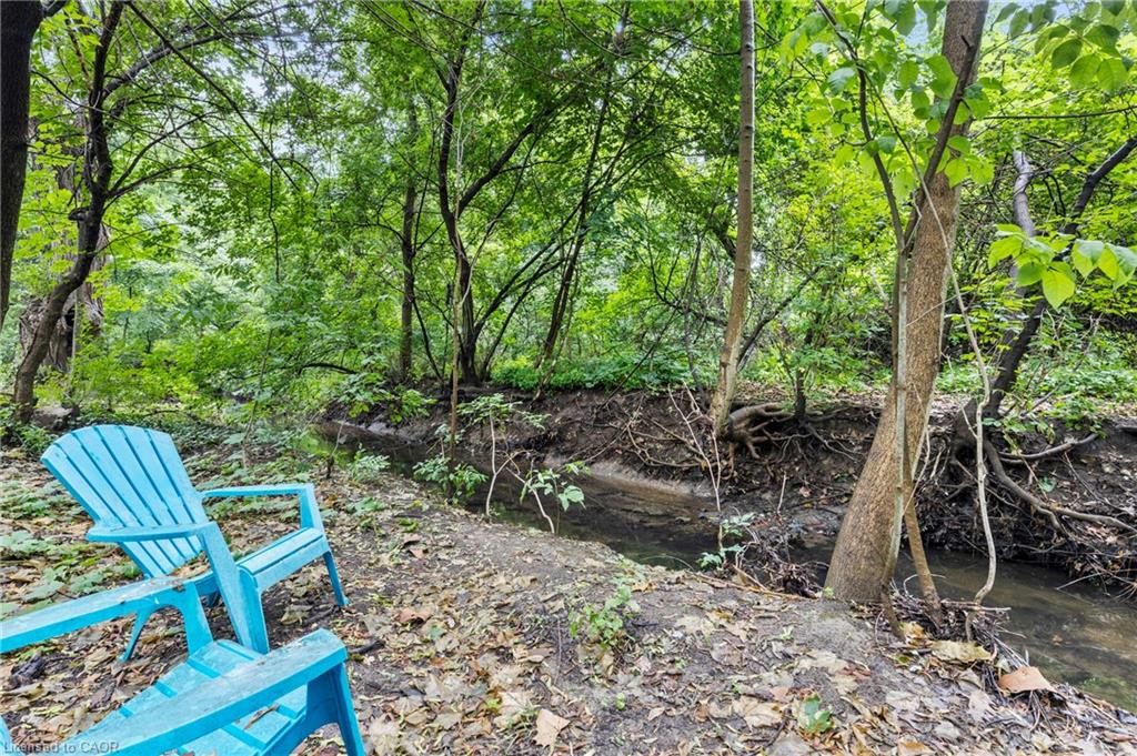 36 Spring Garden Boulevard Property Photo 45
