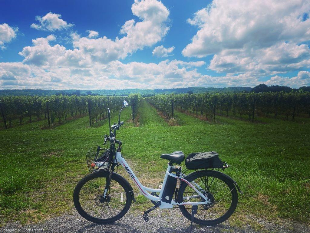 520-1501 Line 8 Road Property Photo 18