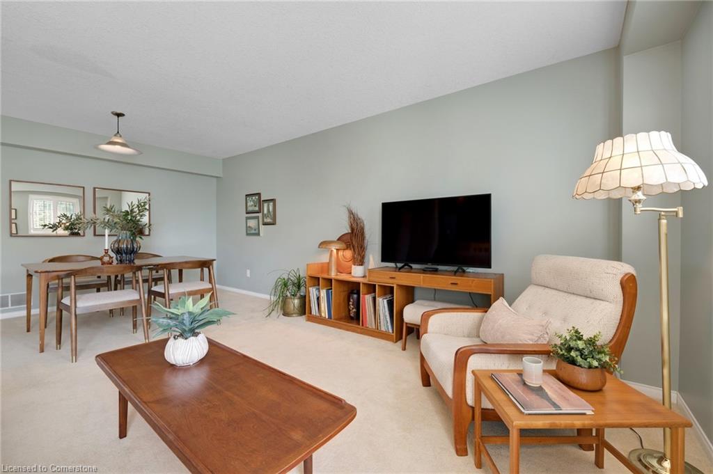 16 Bruce Street Property Photo 5