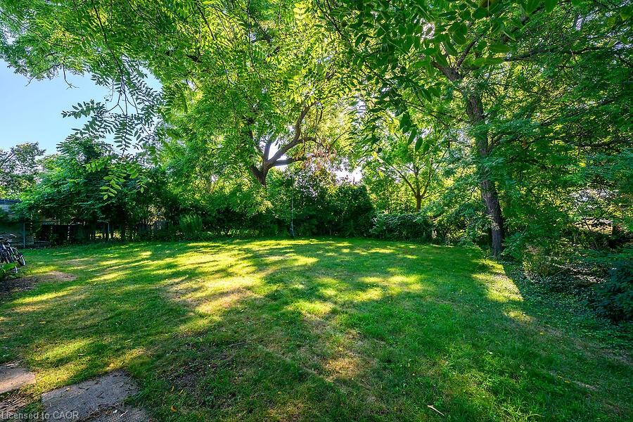 23 Mountain Street Property Photo 44