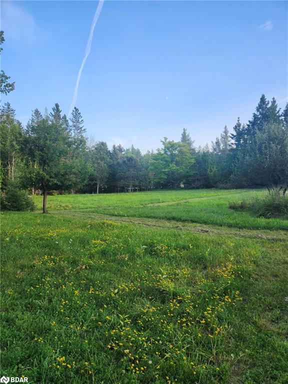 20250 Hwy 540 Property Photo 3