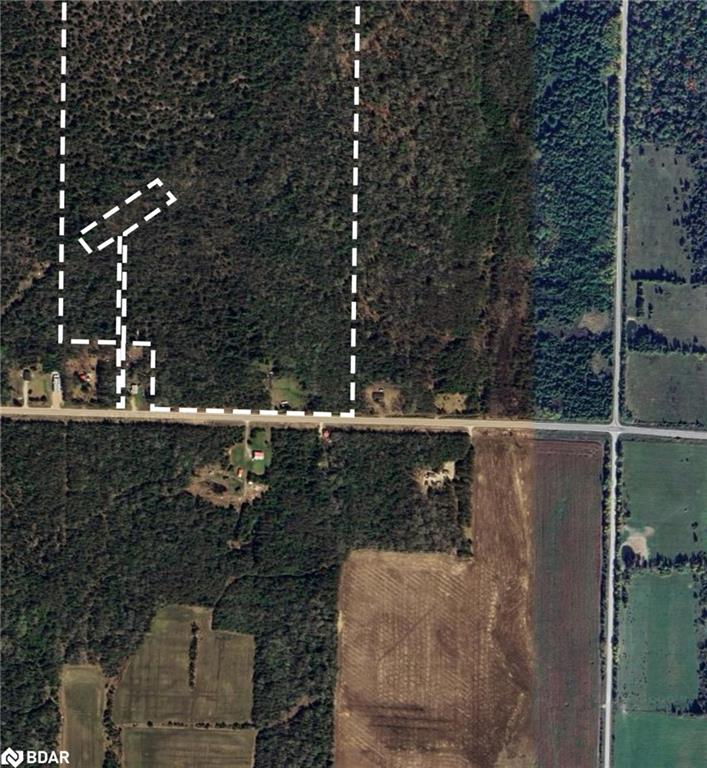 20250 Hwy 540 Property Photo 4