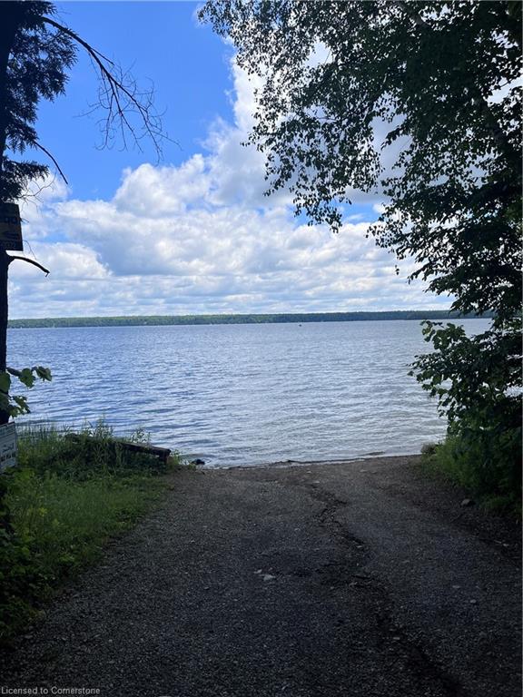 12 Suter Drive Property Photo 6