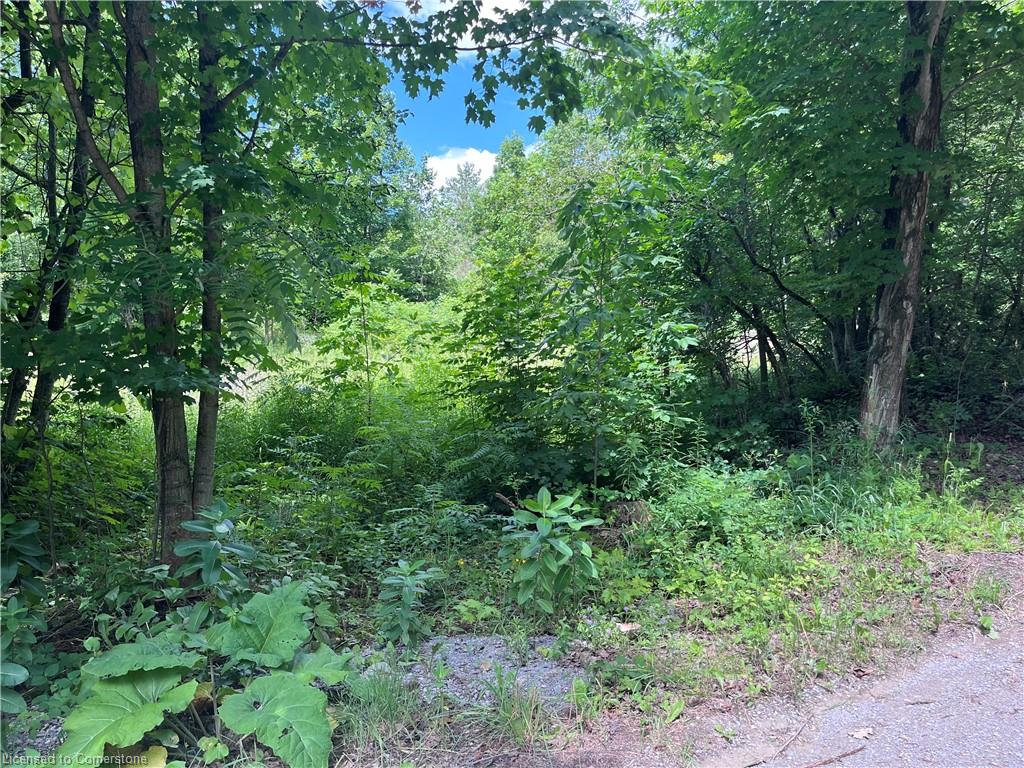 12 Suter Drive Property Photo 7